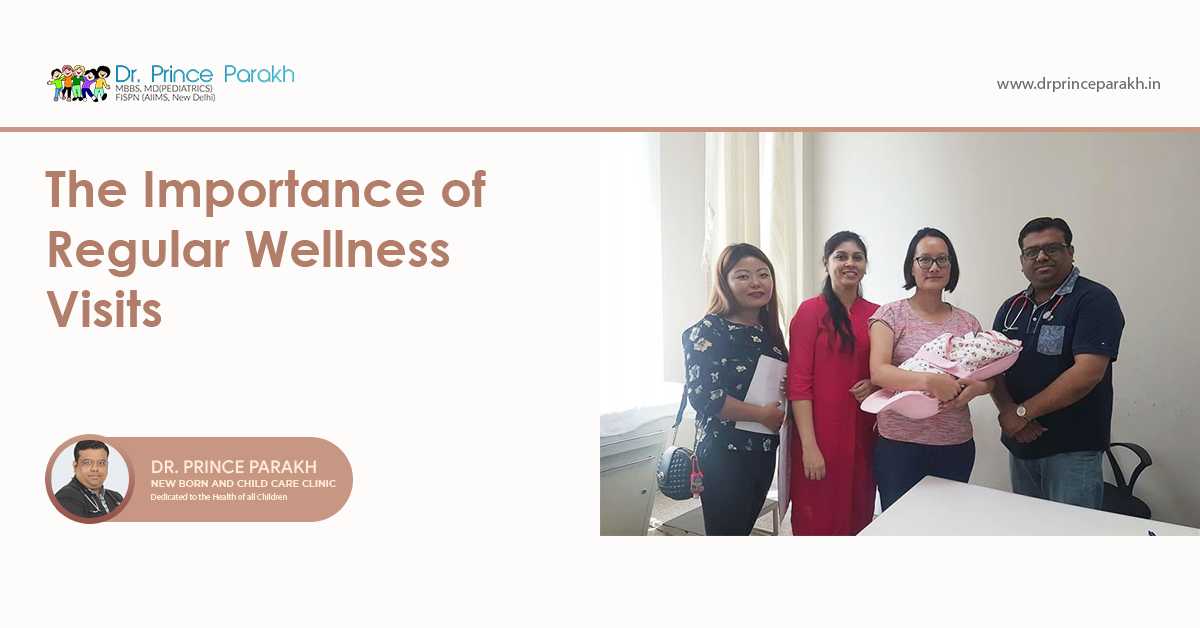 The Importance of Regular Wellness Visits