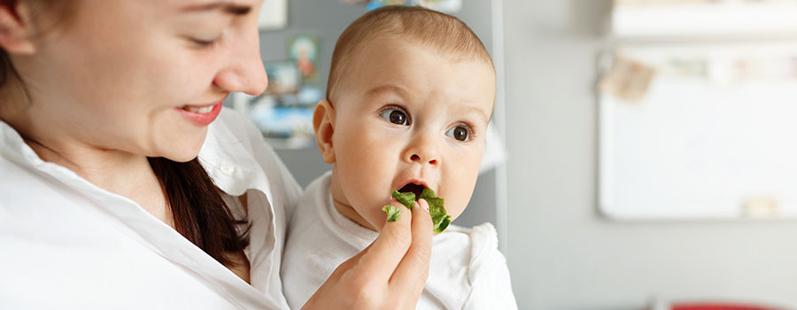 Pediatric Nutrition and Dietary Counseling